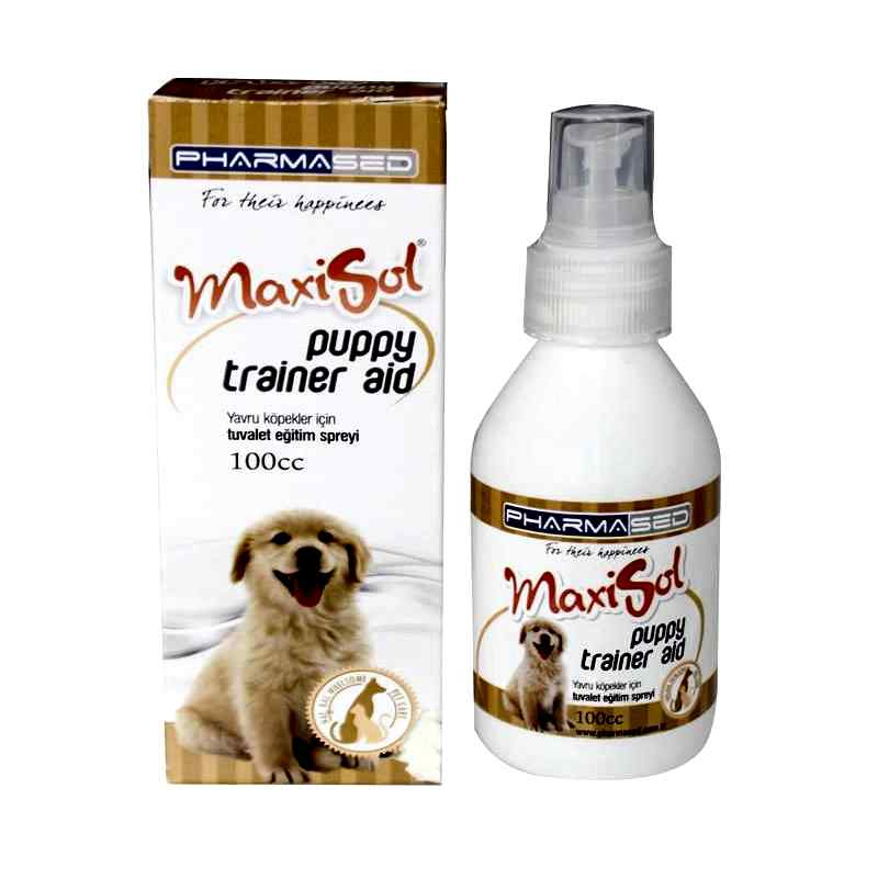 Maxisol Yavru Köpekler İçin Tuvalet Eğitim Spreyi 100 cc