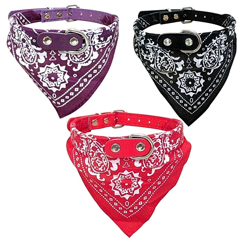 Fularlı Boyun Tasması