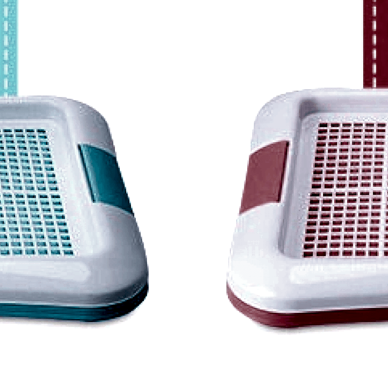 Diktörtgen Yavru Köpek Tuvalet Eğitim Seti 63.5x47x5 cm