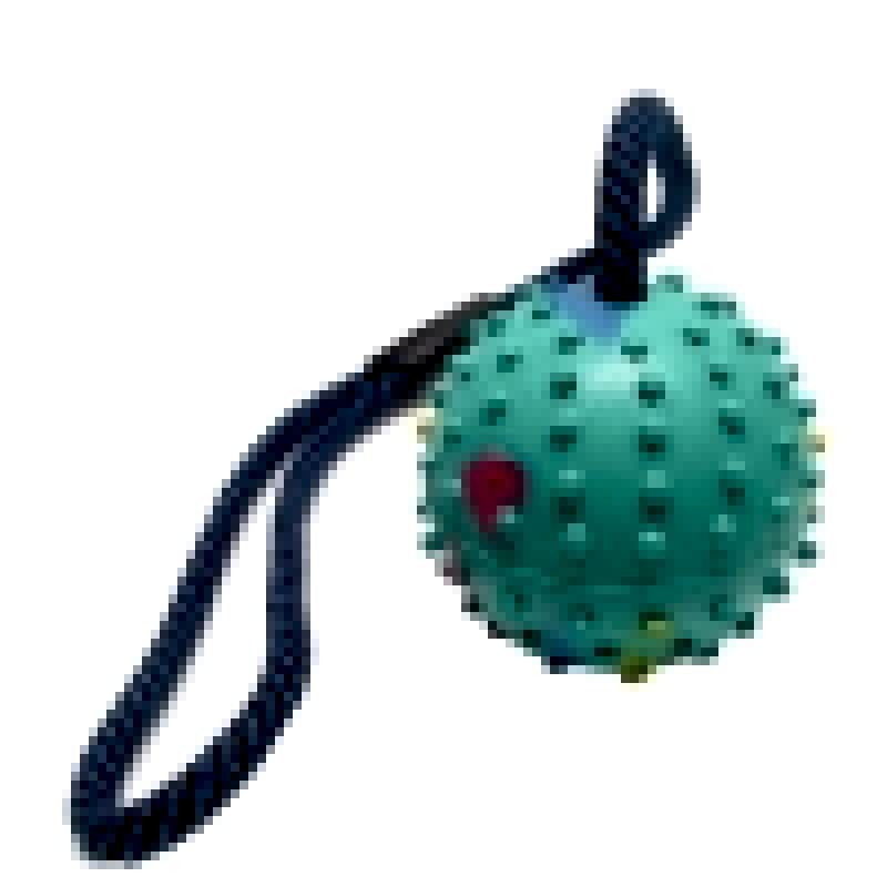 Köpek Diş İpi Toplu