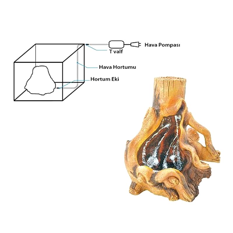 Dophin Kum Şelalesi Ağaç Kökü