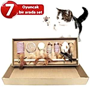 Nunbell Kedi Oyuncak Olta Set