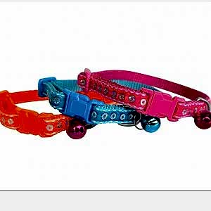 Maxi Life Kedi Boyun Tasması