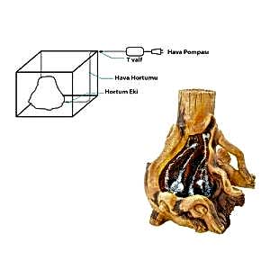 Dophin Kum Şelalesi Ağaç Kökü