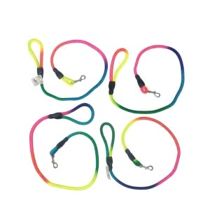 Renkli Fitil Köpek Gezdirme 12mmx120cm