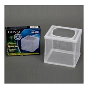 Boyu Tül Yavruluk Küçük Boy