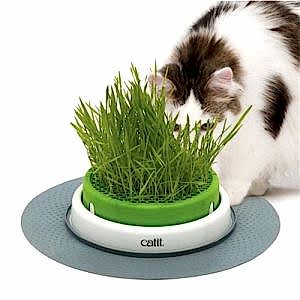 Hagen Catit Senses Grass Planter Kedi Çim Seti