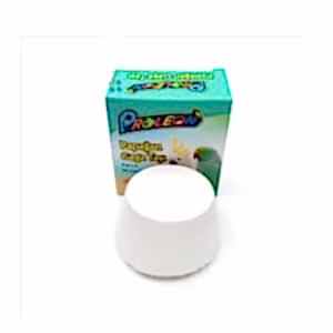 PROLEON PAPAĞAN GAGA TAŞI