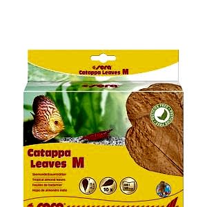 Sera Catappa Yaprağı M 18 Cm 10lu Paket