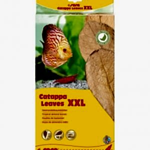 Sera Catappa Yaprağı XXL 32 Cm 10lu Paket
