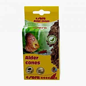 Sera Kızılağaç Kozalağı 50 Adet