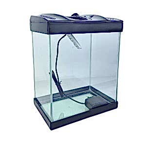 30 Cm Lambalı Lüx Akvaryum 30*21*30 SİYAH