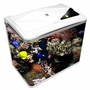 Fivestar 60Cm İthal Akvaryum 59*35*45