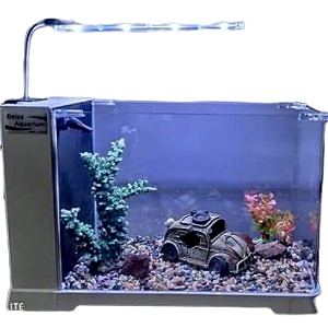 Delsa Aquarium B-103