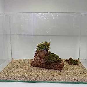 Oval Kesim İthal Cama Cam Akvaryum 50x30x43Cm 4mm